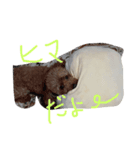 animal！！！！！！！！！！！.！.！！！！！！！！！！！！！（個別スタンプ：1）