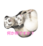 animal！！！！！！！！！！！.！.！！！！！！！！！！！！！（個別スタンプ：2）