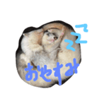 animal！！！！！！！！！！！.！.！！！！！！！！！！！！！（個別スタンプ：3）