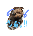 animal！！！！！！！！！！！.！.！！！！！！！！！！！！！（個別スタンプ：4）
