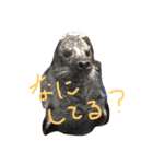animal！！！！！！！！！！！.！.！！！！！！！！！！！！！（個別スタンプ：5）