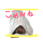 animal！！！！！！！！！！！.！.！！！！！！！！！！！！！（個別スタンプ：7）