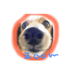 マイペースJOYの日常（個別スタンプ：8）