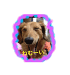 マイペースJOYの日常（個別スタンプ：14）