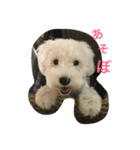 モナさん（個別スタンプ：4）