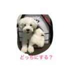 モナさん（個別スタンプ：7）