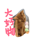 アネモネとガリバー（個別スタンプ：3）