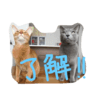 アネモネとガリバー（個別スタンプ：12）