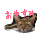アネモネとガリバー（個別スタンプ：18）