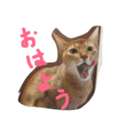 アネモネとガリバー（個別スタンプ：28）