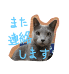 アネモネとガリバー（個別スタンプ：32）