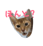 アネモネとガリバー（個別スタンプ：39）