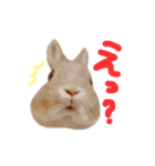 うさぎのちまき（個別スタンプ：3）