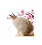 うさぎのちまき（個別スタンプ：4）