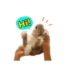 うさぎのちまき（個別スタンプ：5）