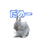 うさぎのちまき（個別スタンプ：8）