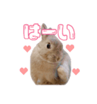うさぎのちまき（個別スタンプ：9）