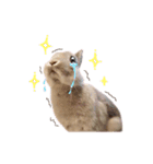 うさぎのちまき（個別スタンプ：13）