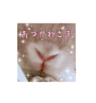 うさぎのちまき（個別スタンプ：14）