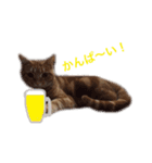 ucino neko 2hiki 3（個別スタンプ：6）