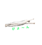ucino neko 2hiki 4（個別スタンプ：4）
