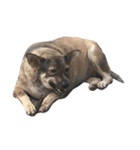 Kaoklong and Candy the dog（個別スタンプ：10）