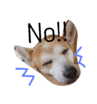 SHUUUUUUUUUU3（個別スタンプ：5）