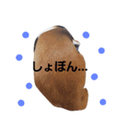 SHUUUUUUUUUU3（個別スタンプ：7）