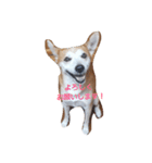 SHUUUUUUUUUU3（個別スタンプ：9）
