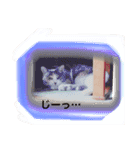 ツンデレみゃーちゃん（個別スタンプ：11）