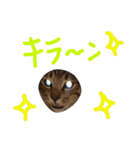 very good cat（個別スタンプ：29）