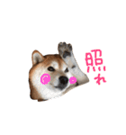 musasi（個別スタンプ：31）
