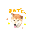 musasi（個別スタンプ：32）