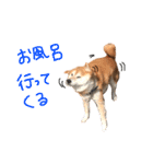 musasi（個別スタンプ：39）