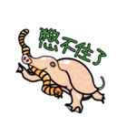 BiLiBird（個別スタンプ：36）