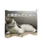 pupuiseveryday（個別スタンプ：5）