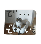 pupuiseveryday（個別スタンプ：6）