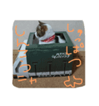 pupuiseveryday（個別スタンプ：8）