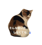 まーこの徒然なる姫ライフ5（個別スタンプ：6）