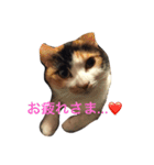 まーこの徒然なる姫ライフ5（個別スタンプ：18）