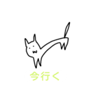 ゆるしろねこちゃん（個別スタンプ：13）