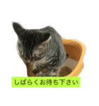 すずそらりく（個別スタンプ：3）