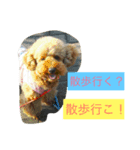 わんこ お散歩ver（個別スタンプ：6）