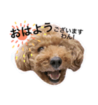 我が家のまりさん（個別スタンプ：13）