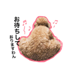 我が家のまりさん（個別スタンプ：18）