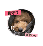 我が家のまりさん（個別スタンプ：19）