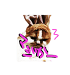 ちゃちゃぶう（個別スタンプ：2）