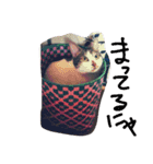 よもやん（個別スタンプ：2）