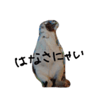 よもやん（個別スタンプ：3）