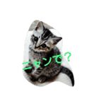 よもやん（個別スタンプ：13）